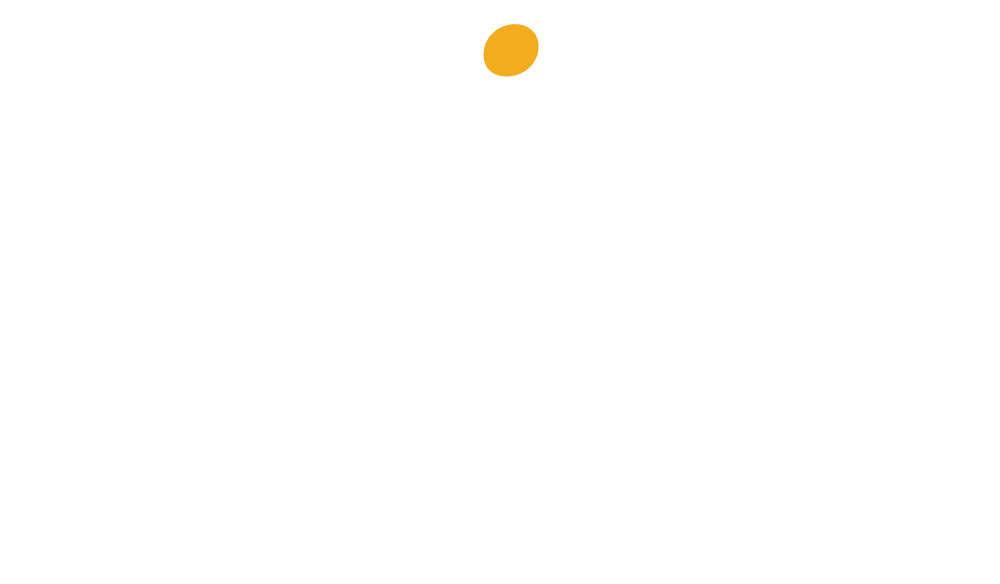 Spiffy Company Logo